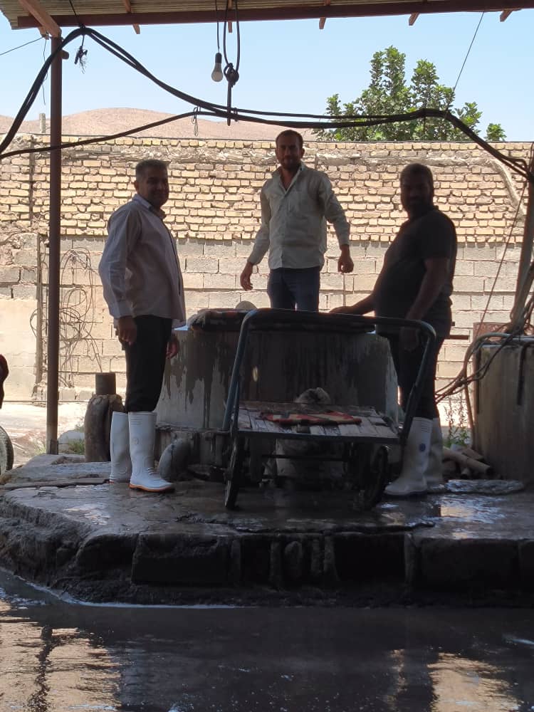 قالیشویی زارع 